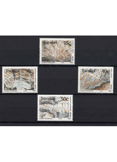 TRANSKEI 4 francobolli fossili di Piante 1990 Nuovi